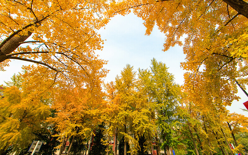 中国人民大学