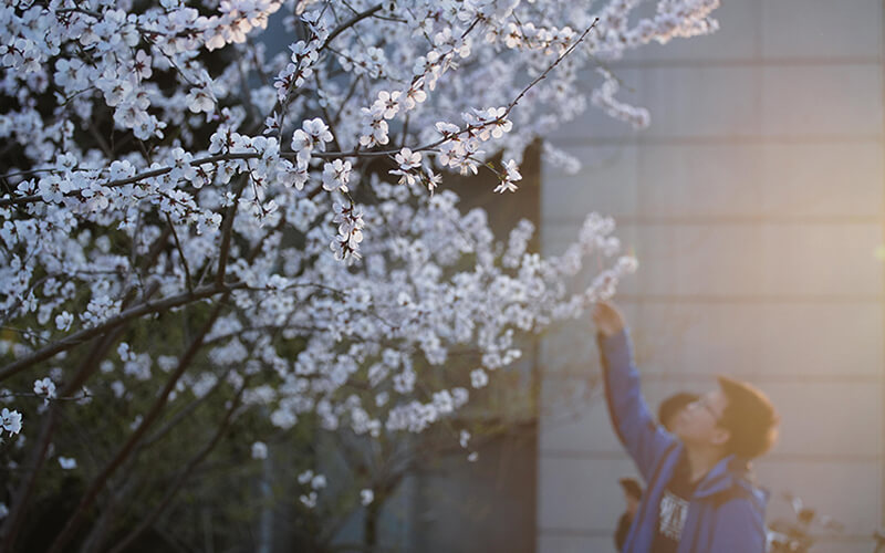 中国人民大学