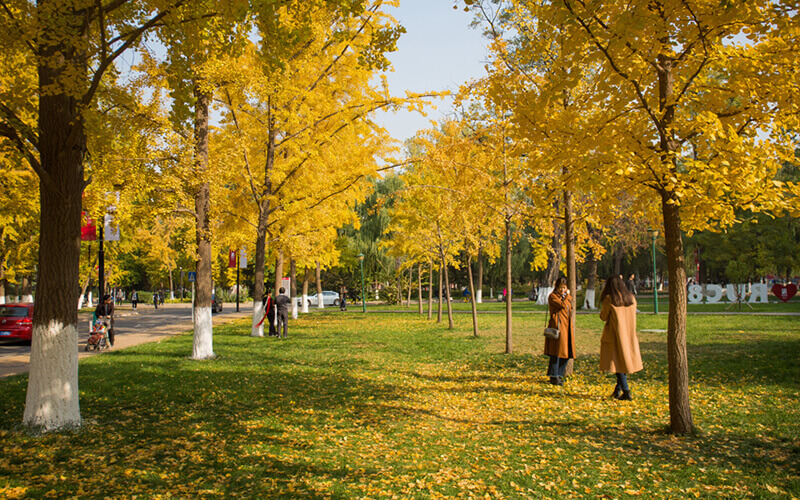 中国人民大学