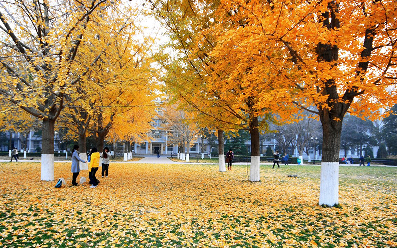 北京理工大学