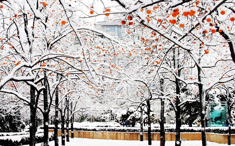 北京理工大学