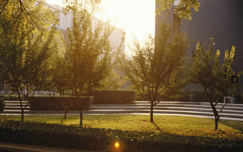 北京林业大学