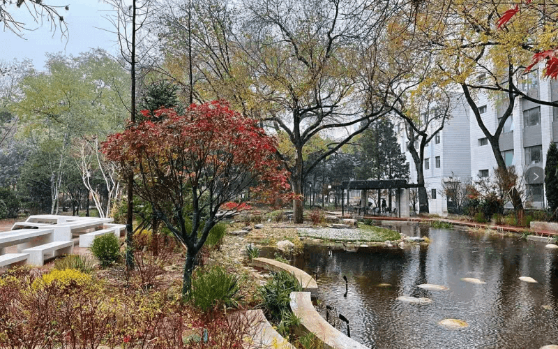 北京林业大学