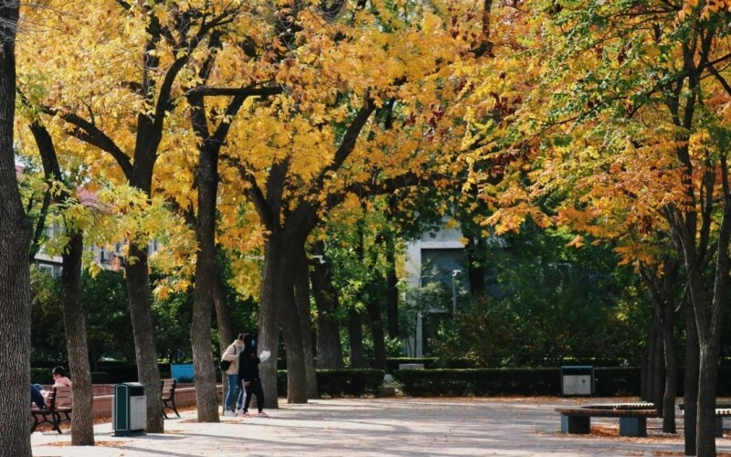 北京语言大学