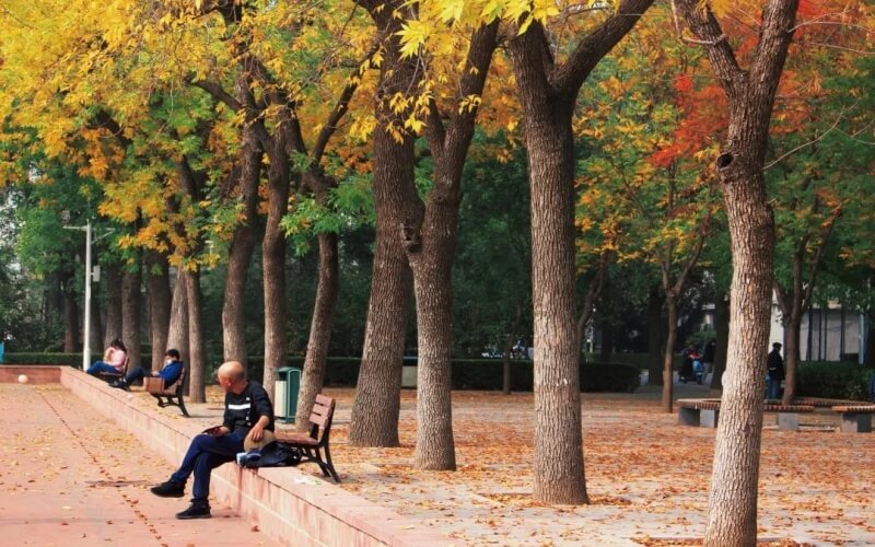 北京语言大学