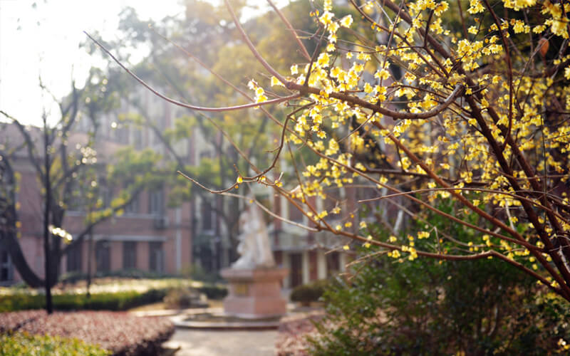 东华大学