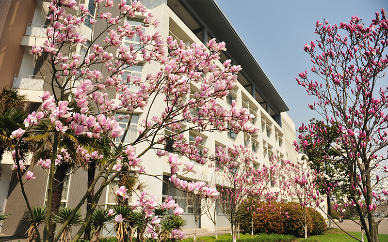 东华大学