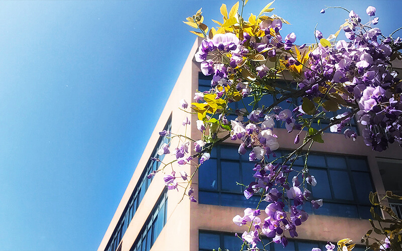 华东师范大学