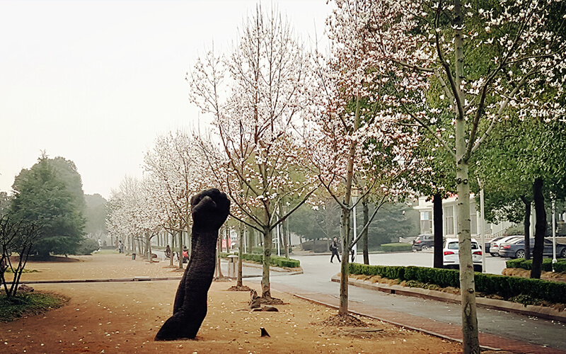 上海视觉艺术学院