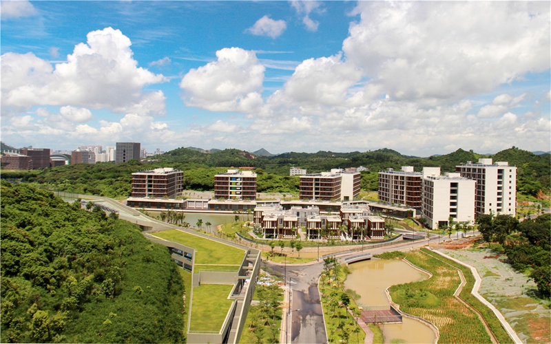 南方科技大学