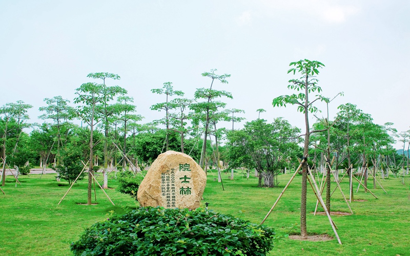 珠海科技学院