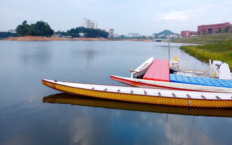 佛山科学技术学院