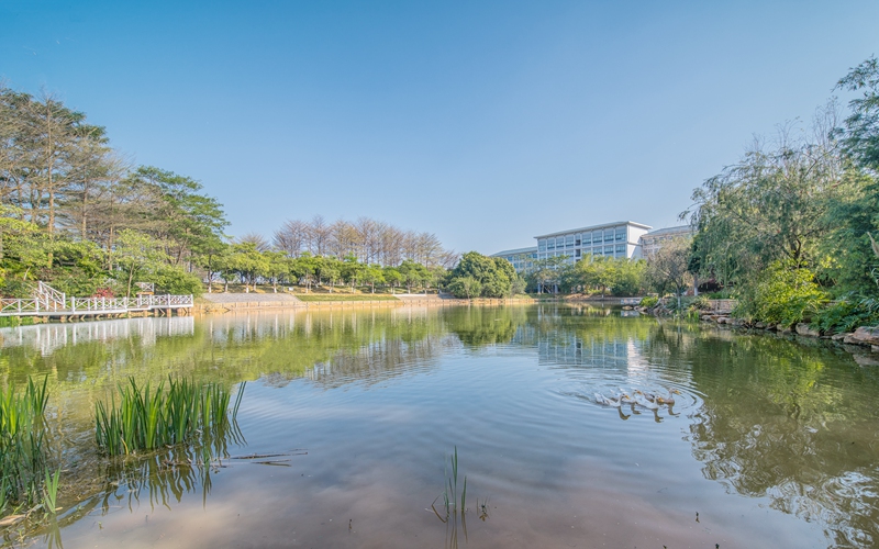 广东外语外贸大学南国商学院