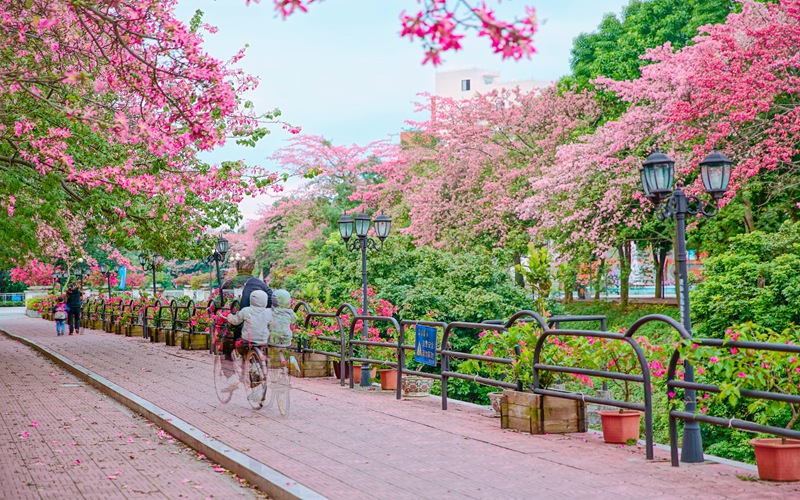 广州软件学院