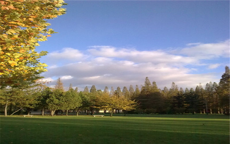 青岛农业大学海都学院