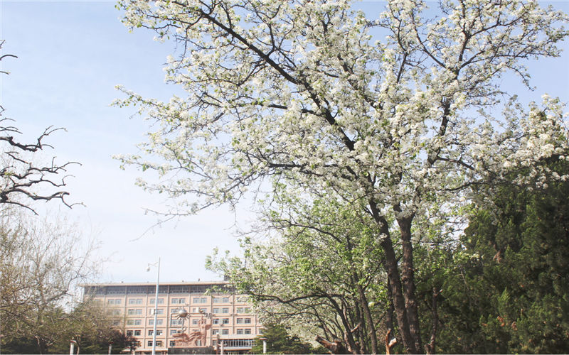 山东石油化工学院