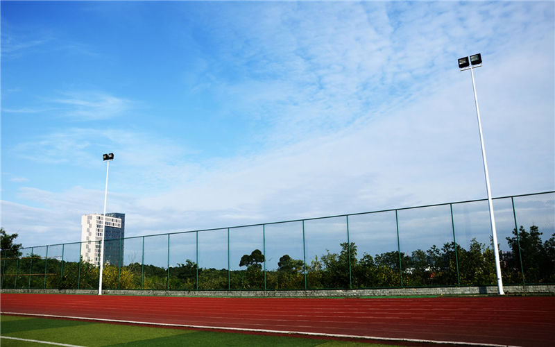 西南财经大学天府学院