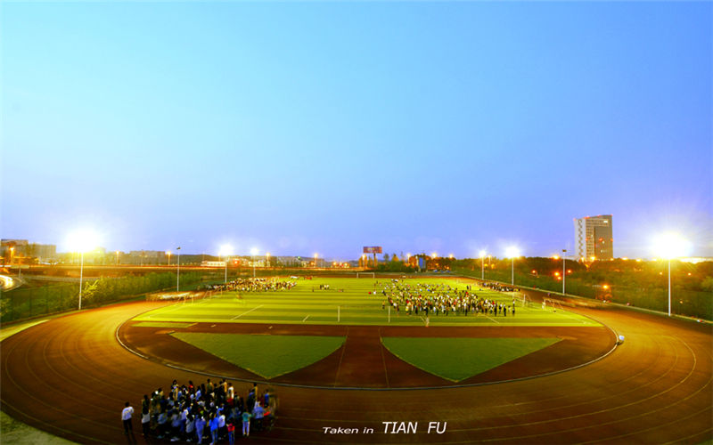 西南财经大学天府学院