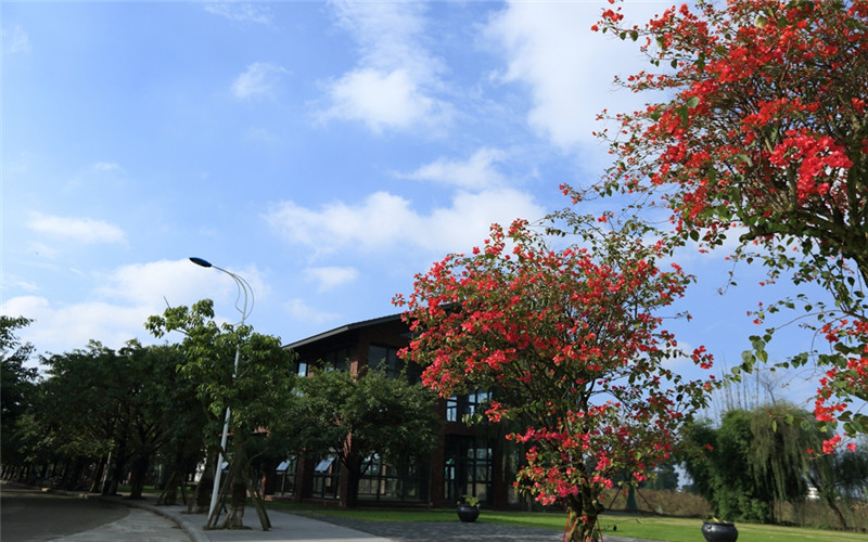 四川大学锦江学院