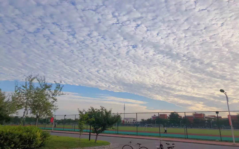 北京科技大学天津学院