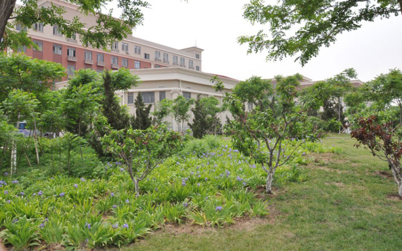 南开大学滨海学院