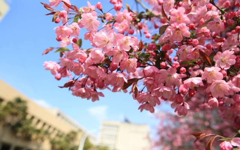 中国矿业大学徐海学院