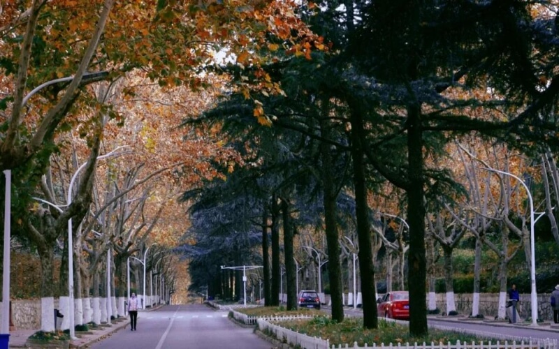 中国矿业大学徐海学院