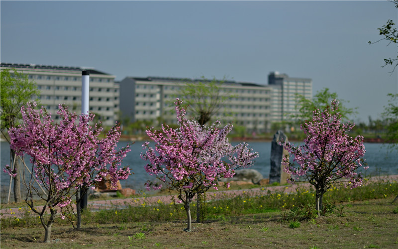 南京师范大学中北学院