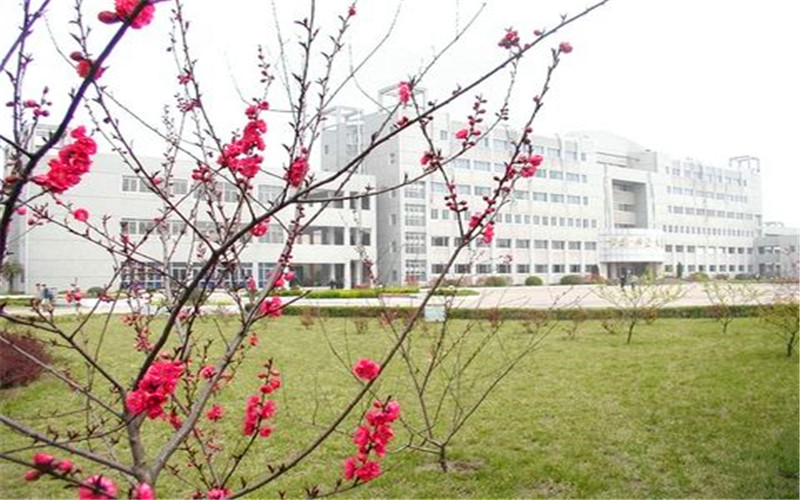 阜阳师范大学信息工程学院