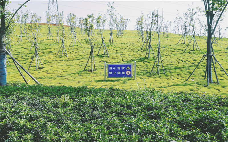 湖北师范大学文理学院