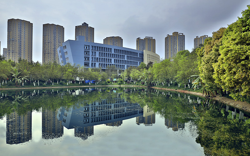 重庆对外经贸学院