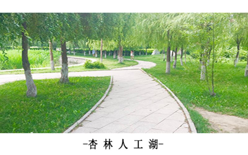 辽宁中医药大学杏林学院