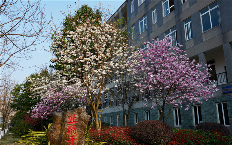 桂林信息科技学院