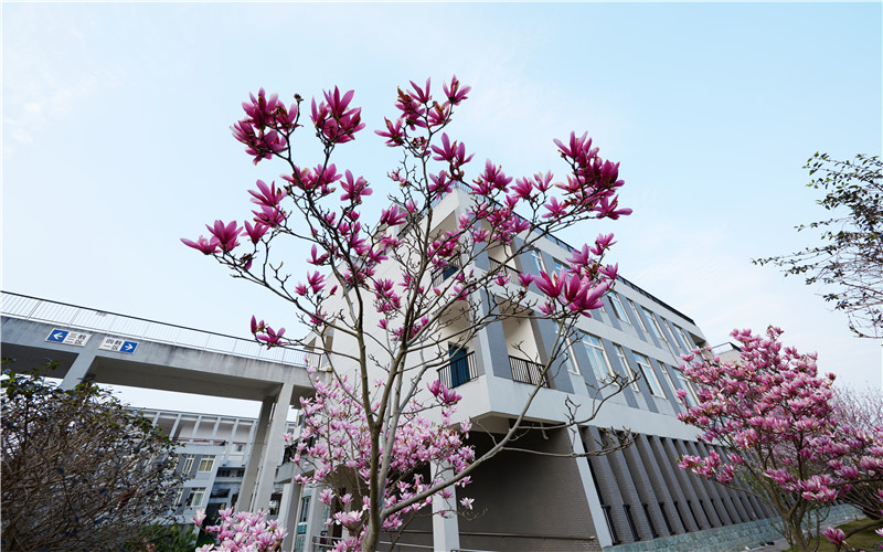 桂林信息科技学院