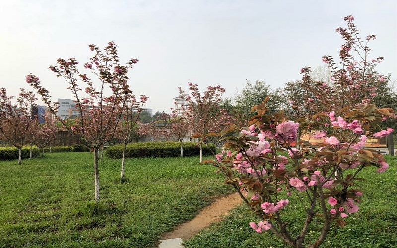 贵州医科大学神奇民族医药学院