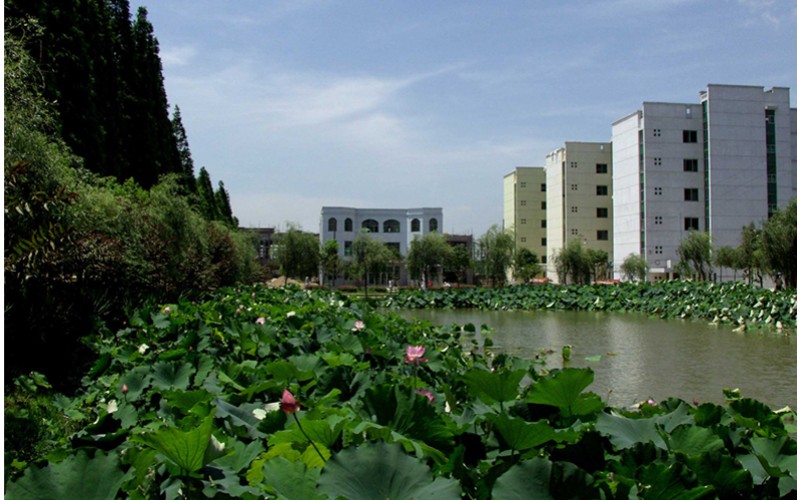 南昌大学共青学院