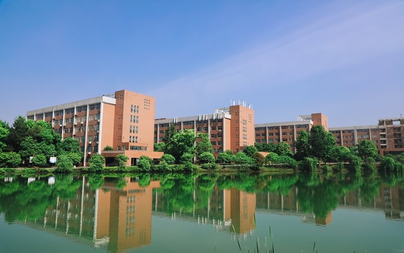 中南林业科技大学涉外学院