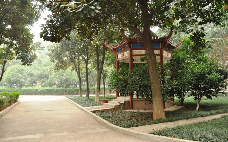 湖南师范大学树达学院