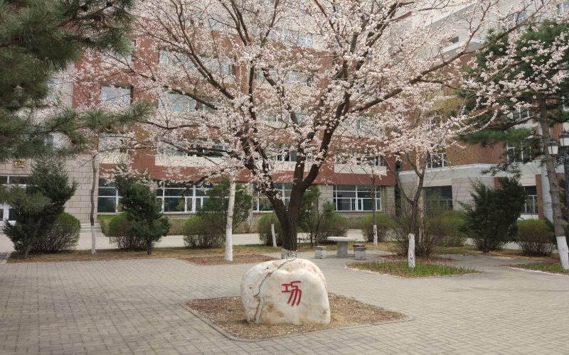 长春工业大学人文信息学院