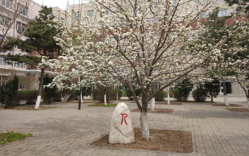 长春工业大学人文信息学院