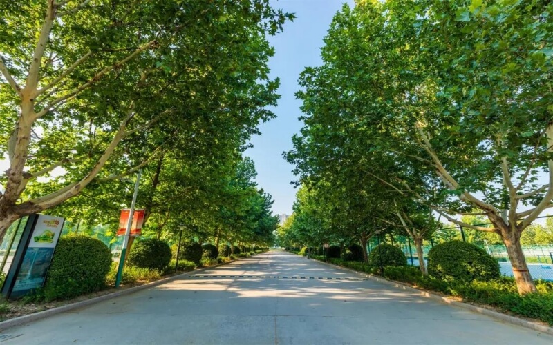 郑州经贸学院