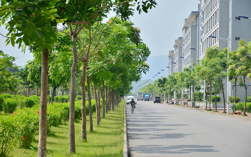 仲恺农业工程学院