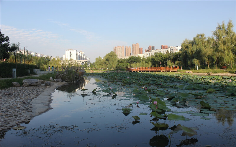 黄淮学院