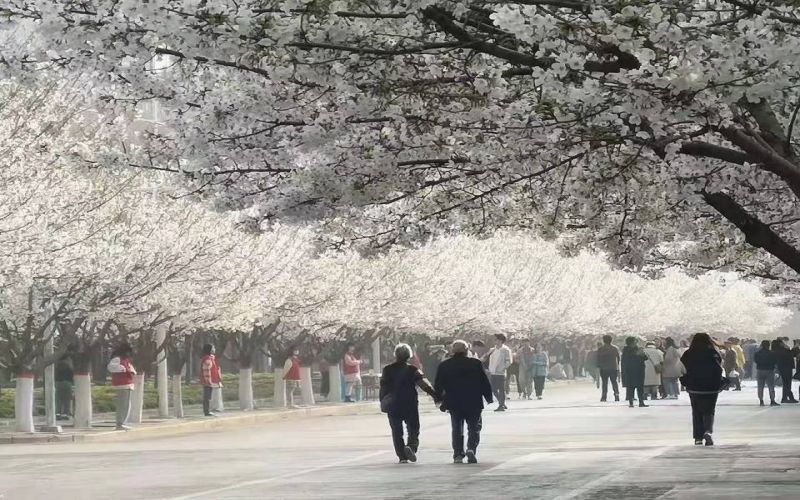 许昌学院