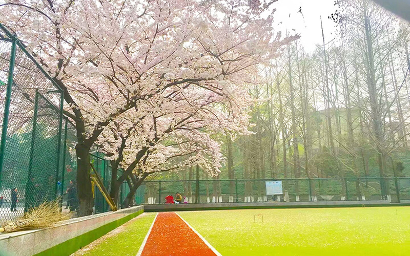 信阳师范学院