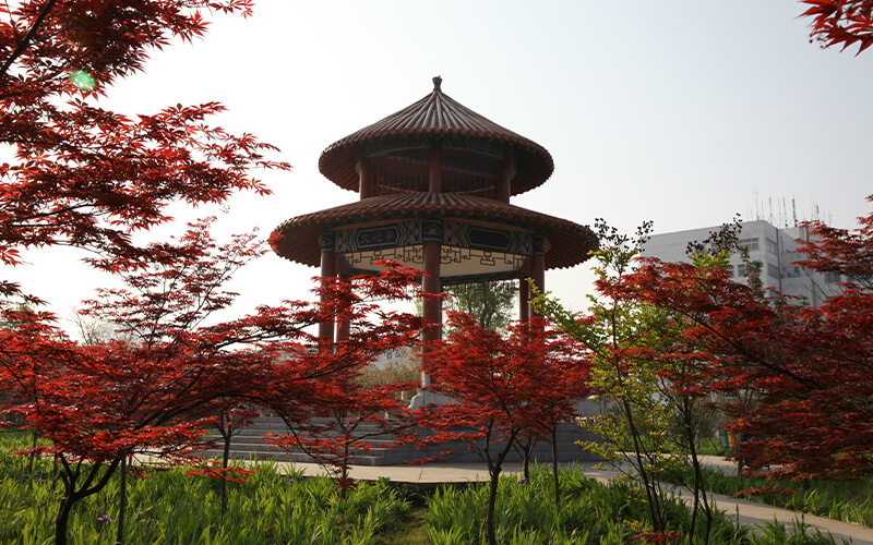 信阳师范学院