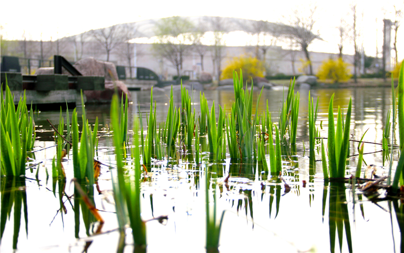 郑州大学