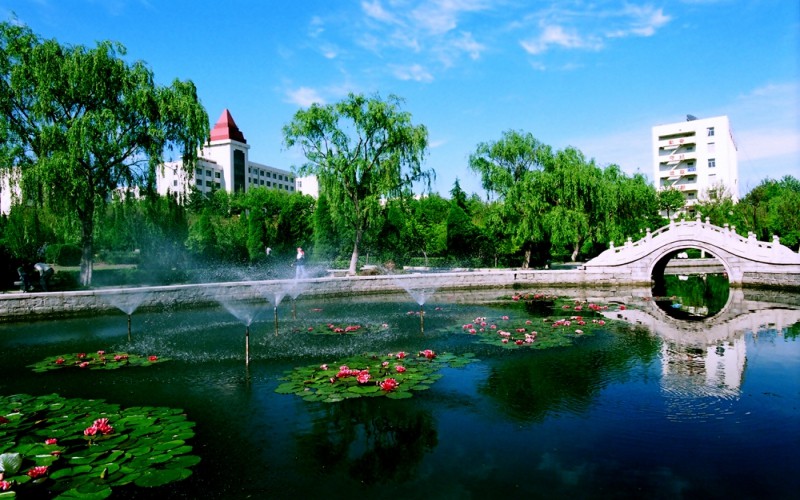 鲁东大学