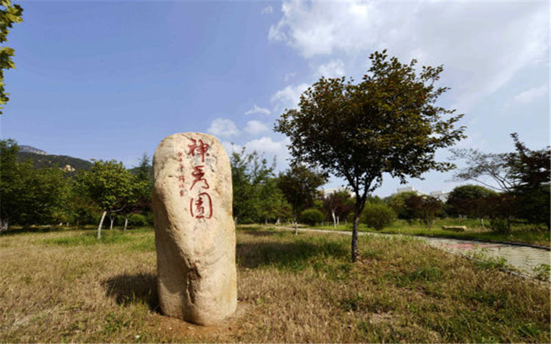 泰山学院