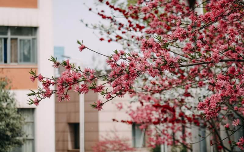 山东政法学院